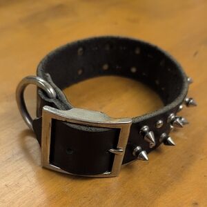 Black Leather Dog Collar or Punk Choker Necklace